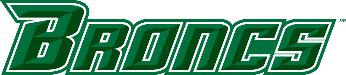 Texas-Pan American Broncs 2010-2014 Wordmark Logo v3 diy iron on heat transfer